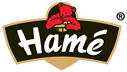 hame-logo